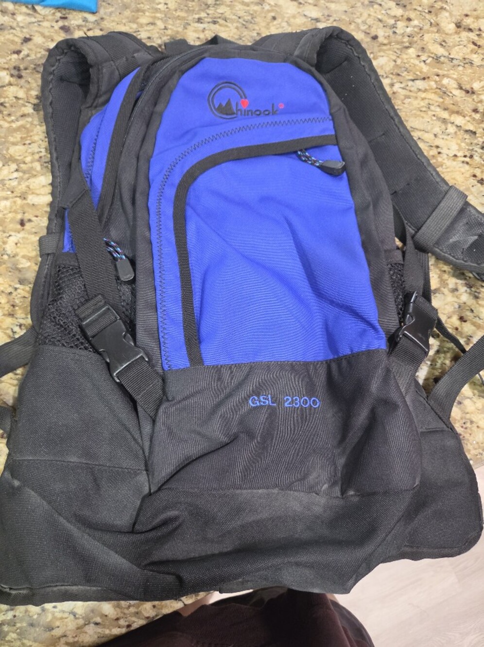 Men's Black and Blue GSL 2300 Hiking Backpack